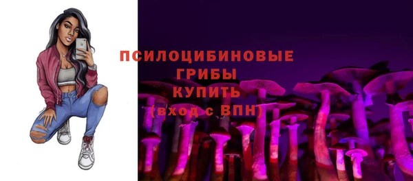 гидропоника Абдулино