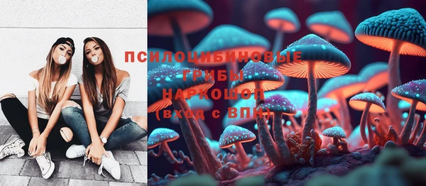 стаф Абинск