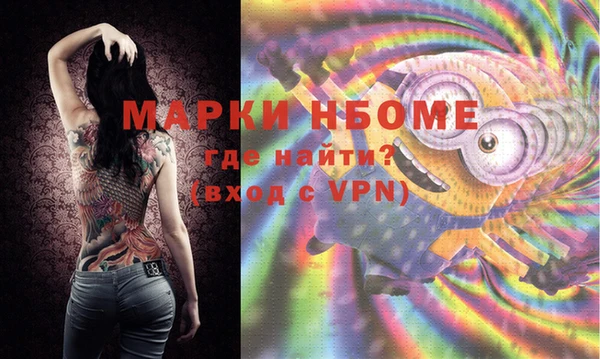стаф Абинск
