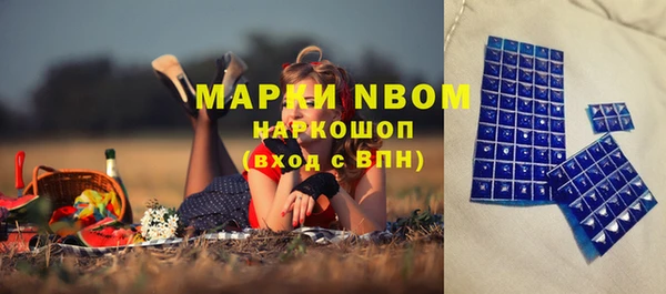 стаф Абинск